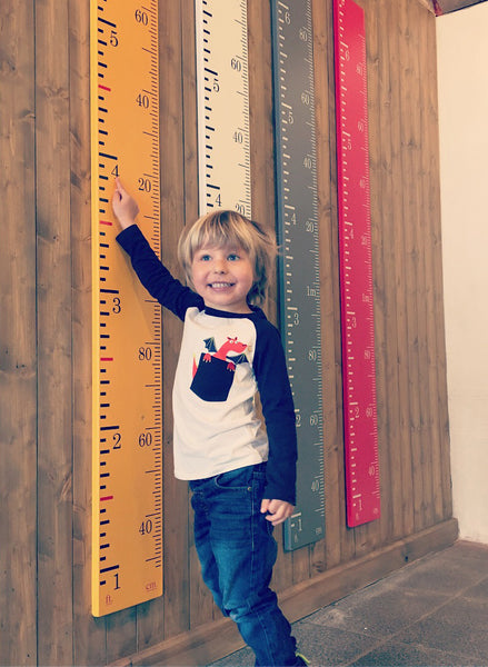 Height Chart Ruler