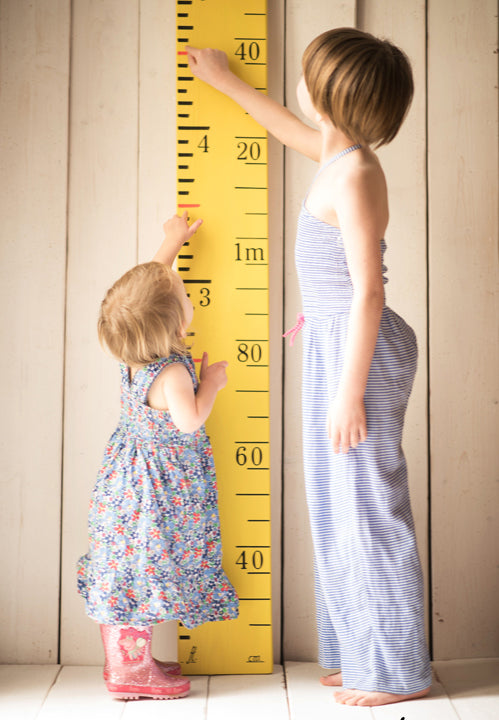 Wooden Height Chart Rulers – Fletcher and Mils