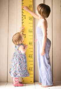 Height Chart Ruler