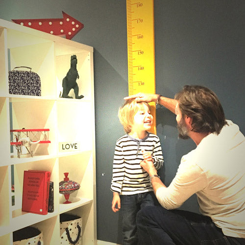 Z Height Chart Ruler EURO version